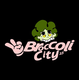BC Festival website design and SEO